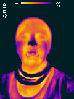 Thermographie du visage d'une jeune fille, corps humain