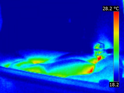 Thermal vision of a foam bath in thermography