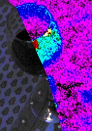 Verre de vin à température vu en thermographie