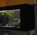 Aquarium r.jpg