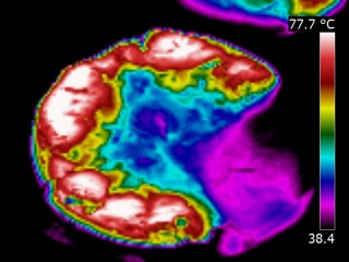 Imagerie thermique d'une pizza cuite au four puis découpée
