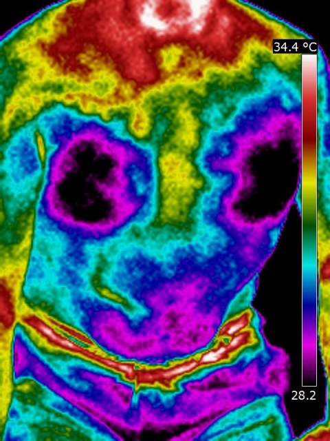 Torse de corps humain mâle vu en thermographie