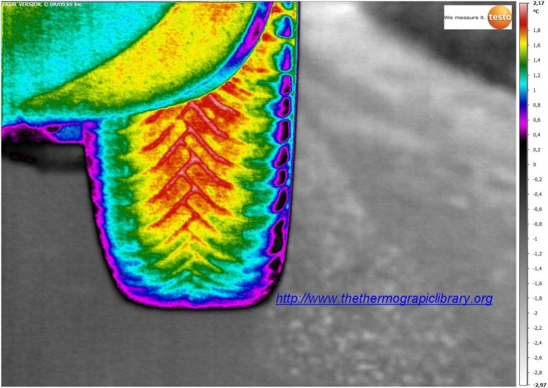 Fichier:Pneu-thermographie-TESTO-890.jpg