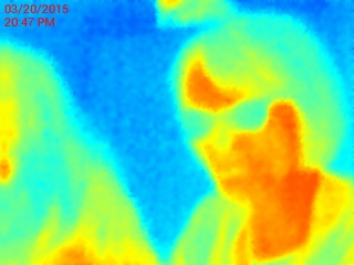 People seen in thermography with Seek thermal