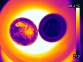 Pieces thermo absolue.jpg