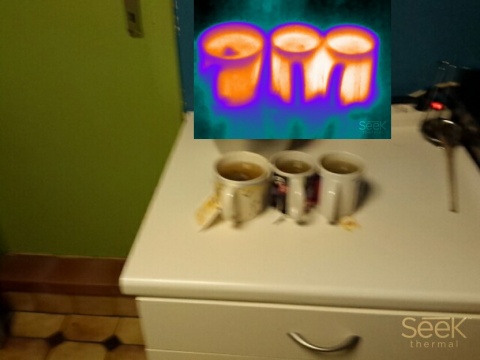 Vue double avec une Seek thermal PIR-206
