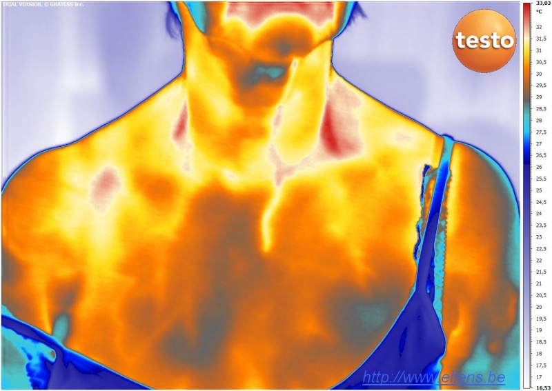 Fichier:Buste-thermographie-femme-testo-890.jpg