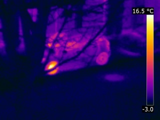image thermographique d'un véhicule parqué mais ayant récemment roulé