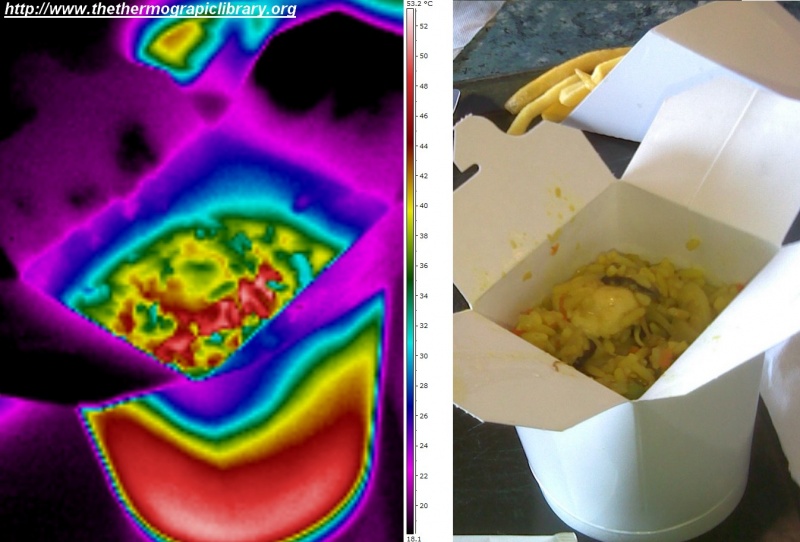 Fichier:Nasi-goreng-portion-thermographie.jpg