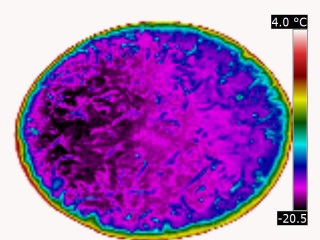 Thermographie infrarouge d'une pizza sortie du congélateur