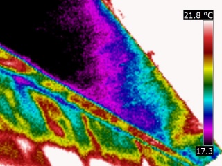 Thermographie de l'acrotère en béton d'une terrasse avec un infiltration d'eau